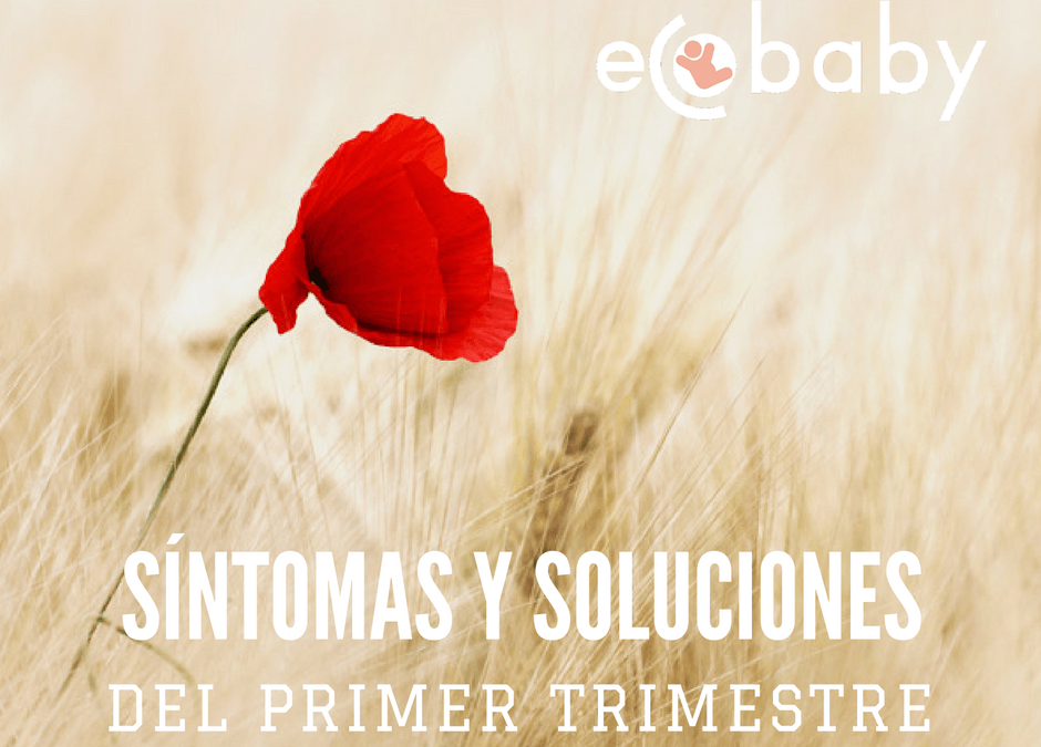 Síntomas y soluciones del primer trimestre