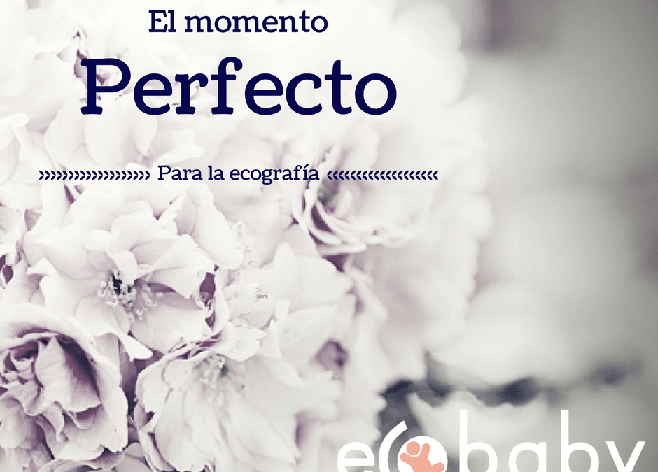 El momento perfecto para la ecografía